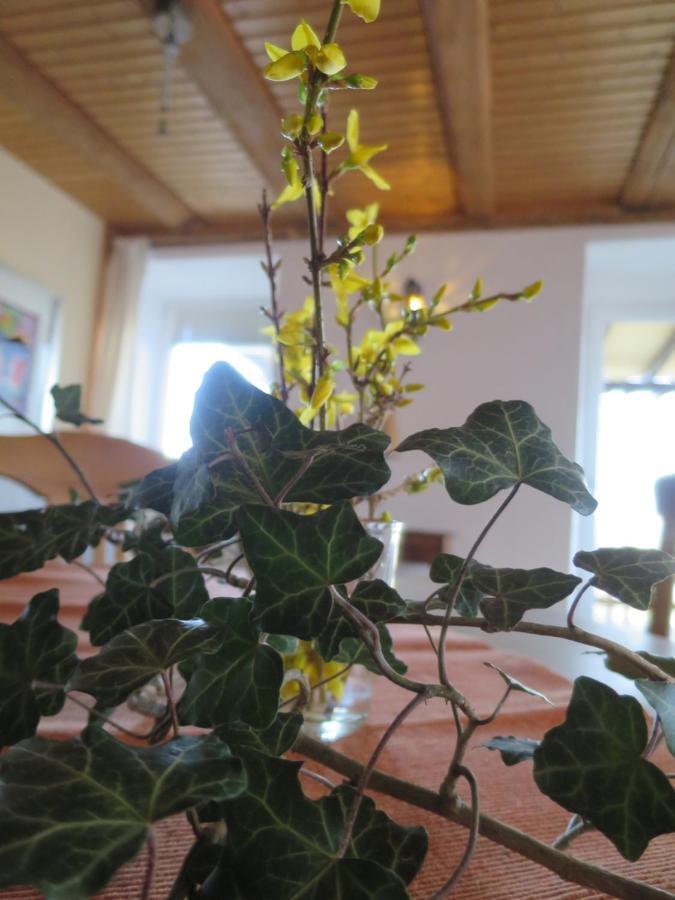Alpaka-Ferien Lejlighed Wiechs am Randen Eksteriør billede